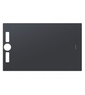 Змiнна поверхня для Intuos Pro L (стандартна)