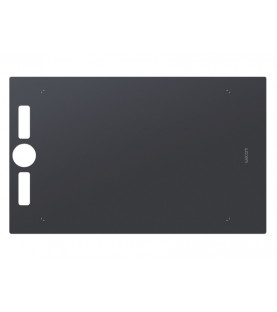 Змiнна поверхня для Intuos Pro L (шорстка)
