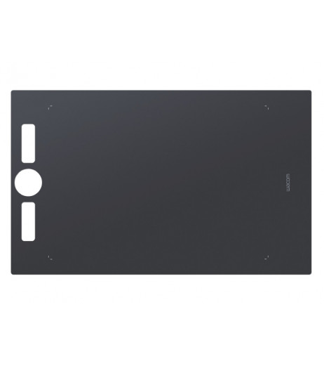 Змiнна поверхня для Intuos Pro L (шорстка)